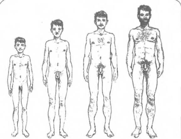 Saiz zakar bergantung pada umur